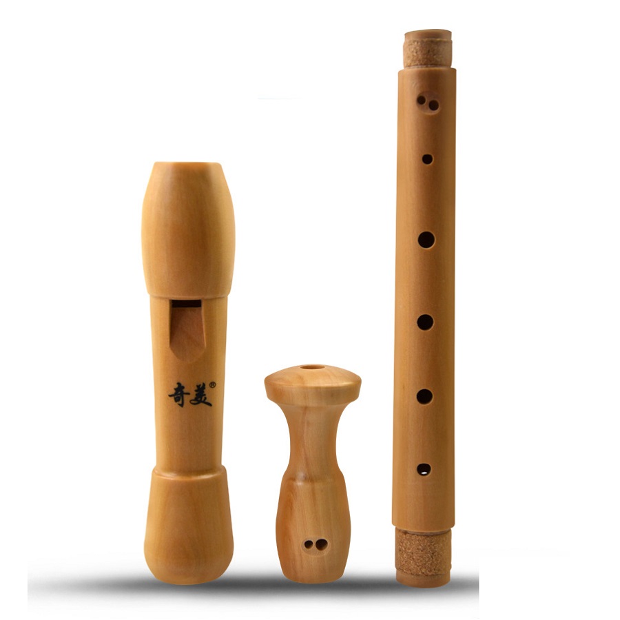 Qimei 8 Holes Alto Recorder Mu - Musical Instrument German review and price