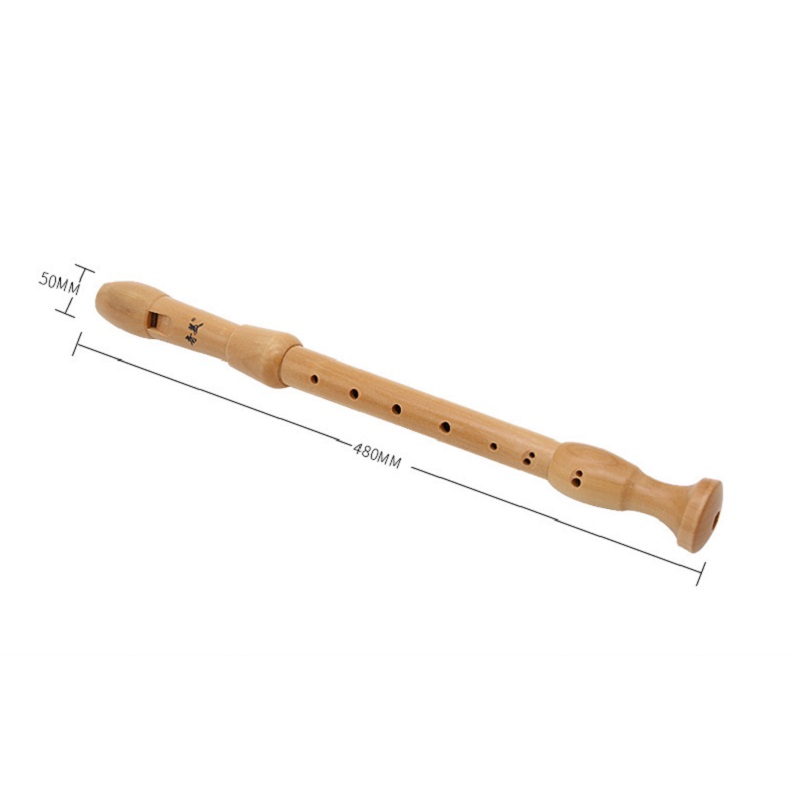 Qimei 8 Holes Alto Recorder Mu - Musical Instrument German review and price