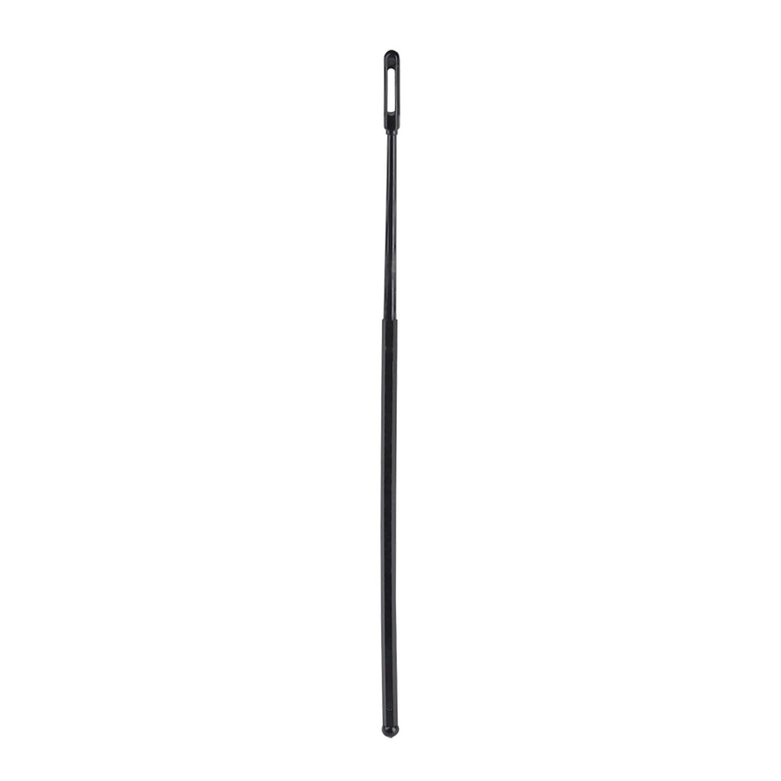Professional Soprano Recorder  - Musical Instrument German review and price