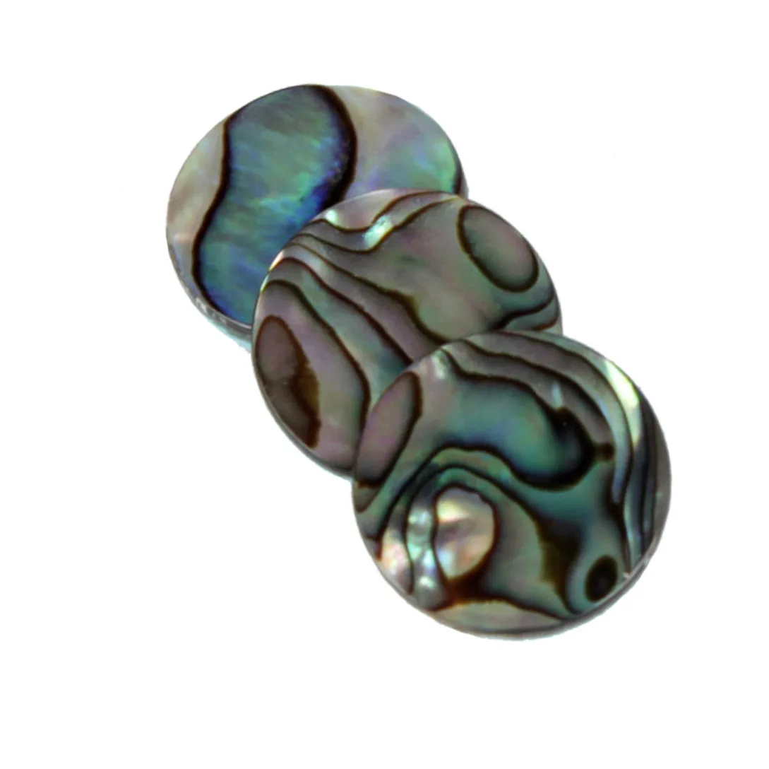 3pcs/set Trumpet Abalone Shell - Musical Instrument Horn review and price