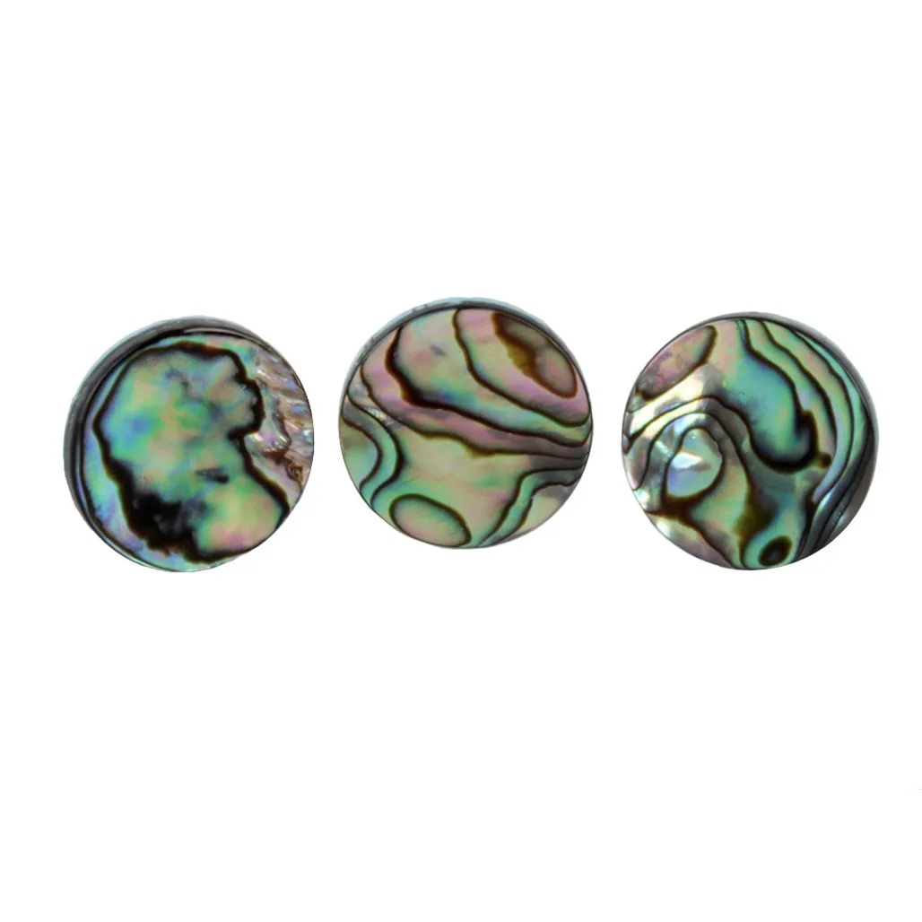 3pcs/set Trumpet Abalone Shell - Musical Instrument Horn review and price