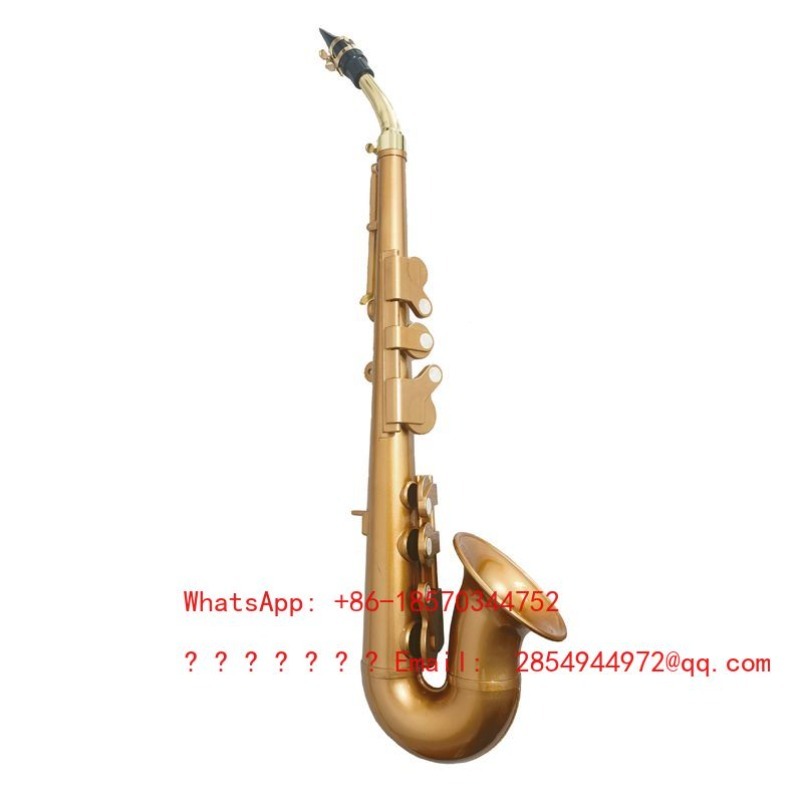Resin Saxophone Musical Instru - Musical Instrument Easy To Learn For Adults review and price